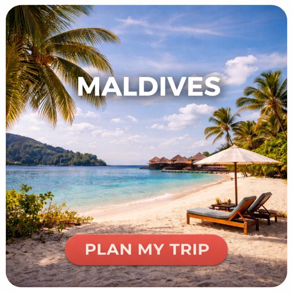 2782cac7 6e8f 4d76 9448 1ae9023a354a