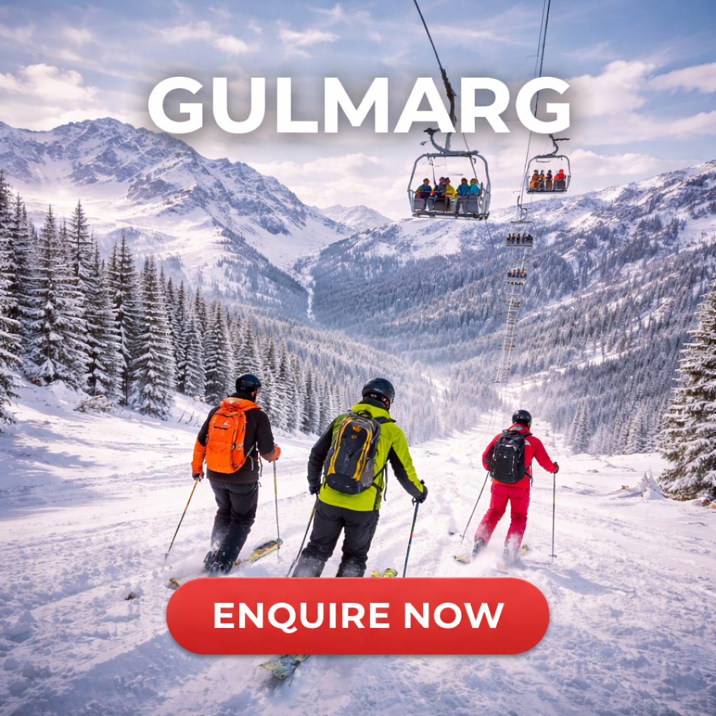 bbd276b9 1b99 483e 9b21 80ca10a94b69